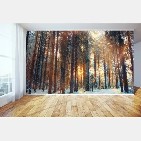 Fotomural amanecer invernal en el bosque – Pixers®