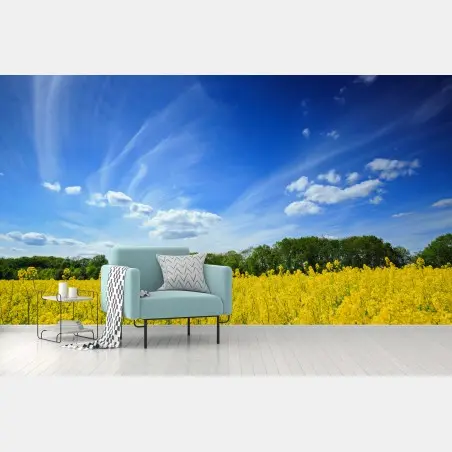 Fotomural paisaje primaveral de colza en flor en Polonia – Pixers®