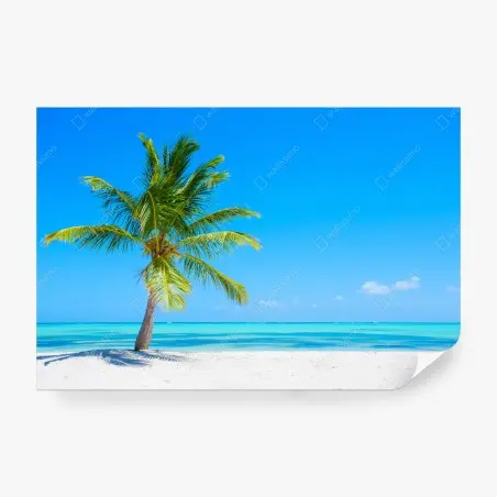 Fotomural playa tropical con palmera solitaria – Pixers®