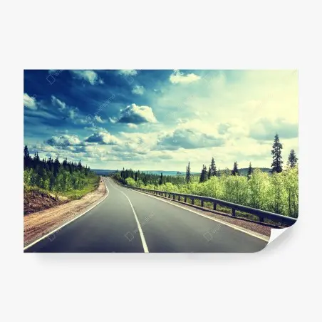 Fotomural ruta solitaria entre bosques y cielo dramático – Pixers®