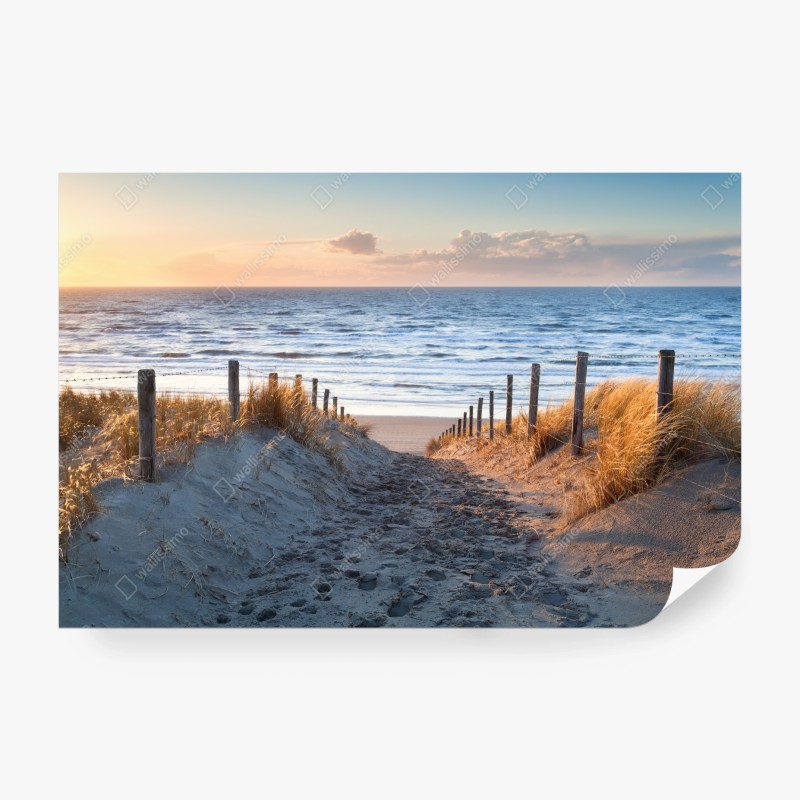 Fotomural pasarela de dunas hacia el mar al atardecer