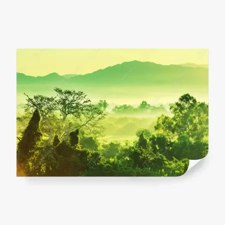 Fotomural selva tropical de México al amanecer – Pixers®