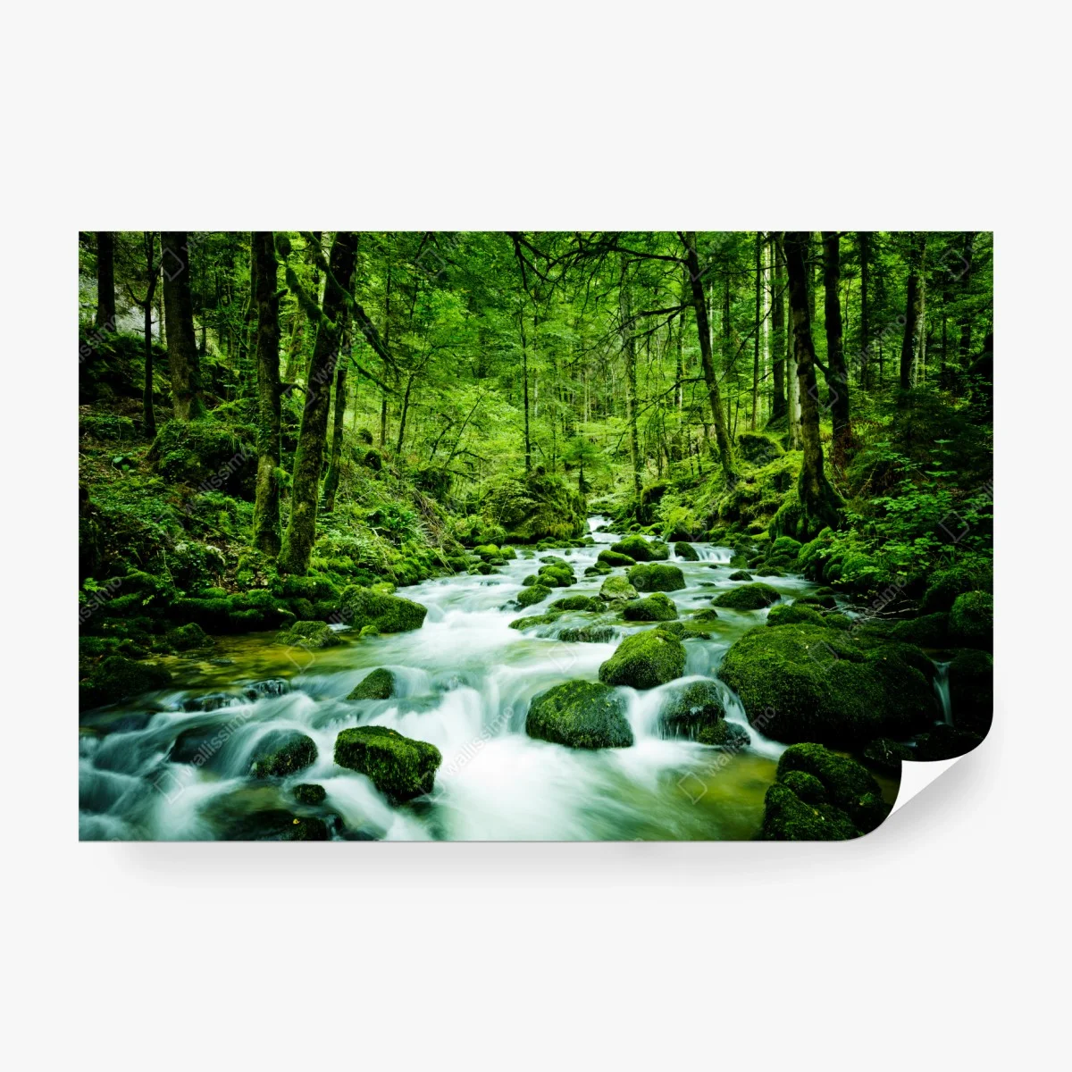 Fotomural bosque esmeralda con arroyo entre piedras – Pixers®