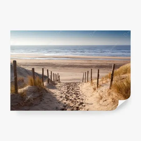 Fotomural sendero de arena hacia el Mar del Norte al atardecer – Pixers®