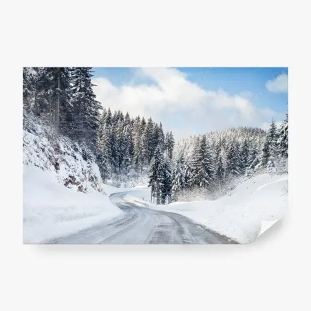 Fotomural carretera nevada entre bosques de pinos – Pixers®
