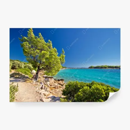Fotomural escapada turquesa en la isla de Murter, Croacia – Pixers®