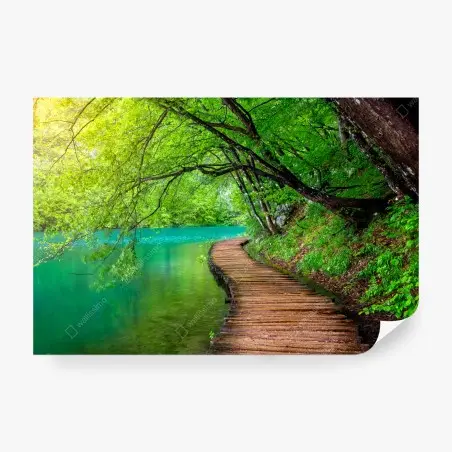 Fotomural sendero de madera junto al lago turquesa – Pixers®
