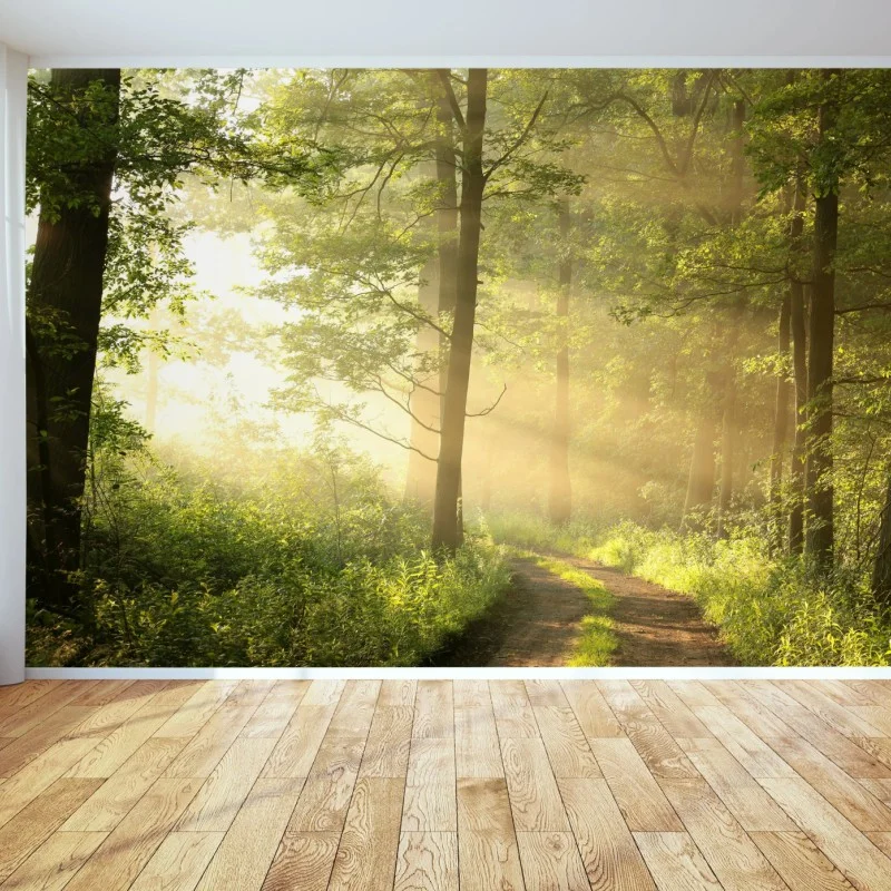 Fotomural amanecer en el sendero del bosque
