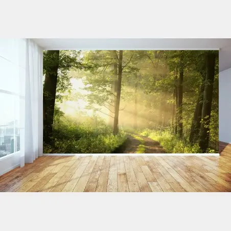 Fotomural amanecer en el sendero del bosque – Pixers®