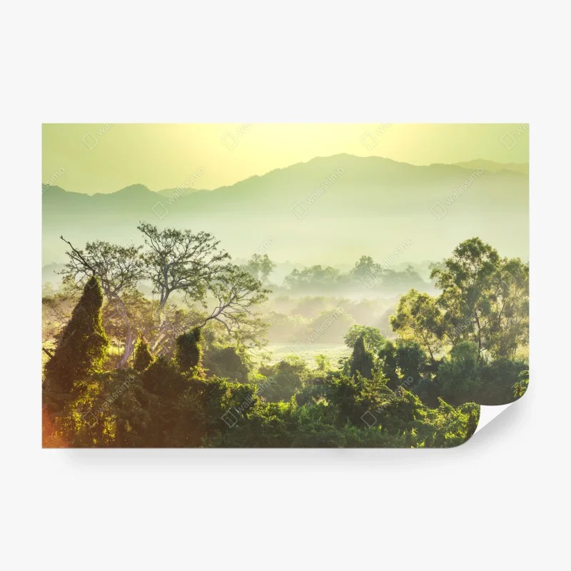 Fotomural selva en Vietnam al amanecer