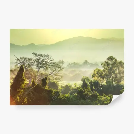 Fotomural selva en Vietnam al amanecer – Pixers®