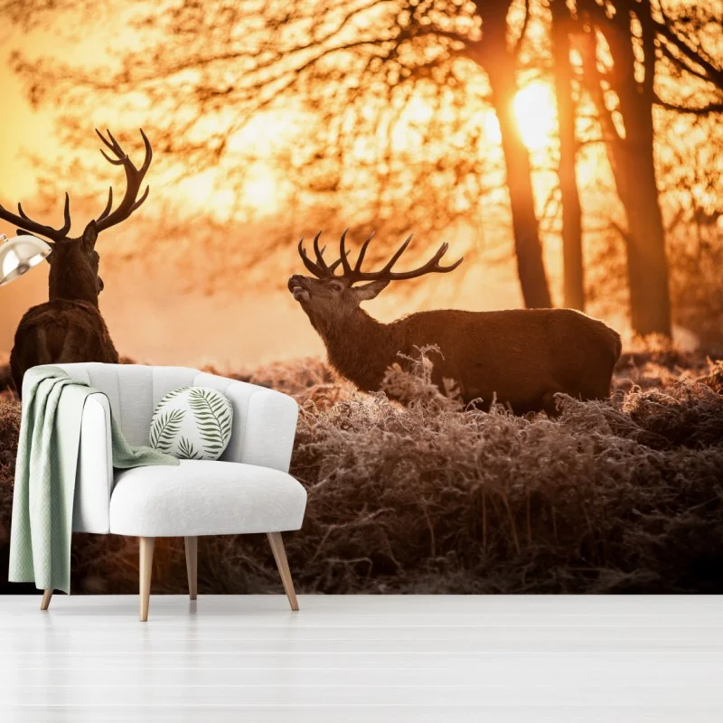 Fotomural amanecer dorado con ciervos en el bosque