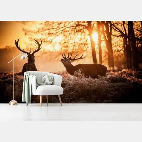 Fotomural amanecer dorado con ciervos en el bosque – Pixers®