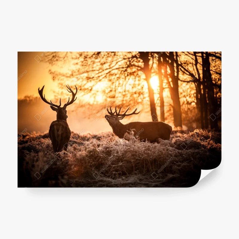 Fotomural amanecer dorado con ciervos en el bosque