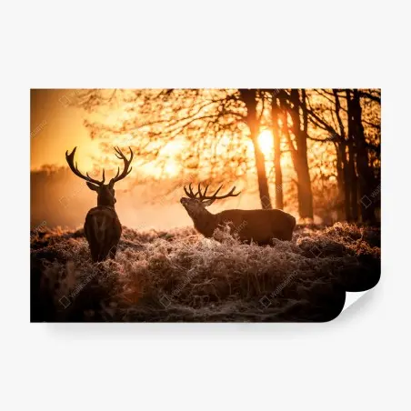 Fotomural amanecer dorado con ciervos en el bosque – Pixers®