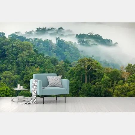 Fotomural niebla matutina en el bosque tropical de Kaeng Krachan – Pixers®