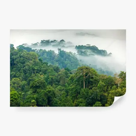 Fotomural niebla matutina en el bosque tropical de Kaeng Krachan – Pixers®