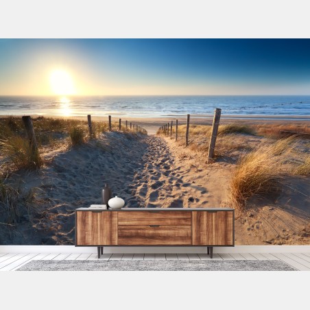 Fotomural sendero de arena hacia el mar en Zandvoort – Pixers®