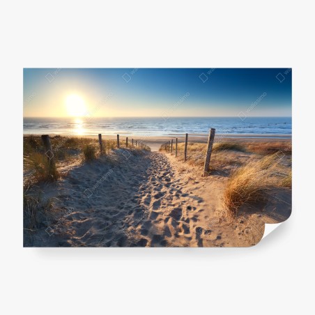 Fotomural sendero de arena hacia el mar en Zandvoort – Pixers®