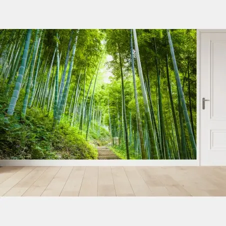 Fotomural sendero entre bambúes en bosque sereno – Pixers®