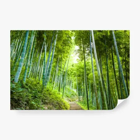 Fotomural sendero entre bambúes en bosque sereno – Pixers®