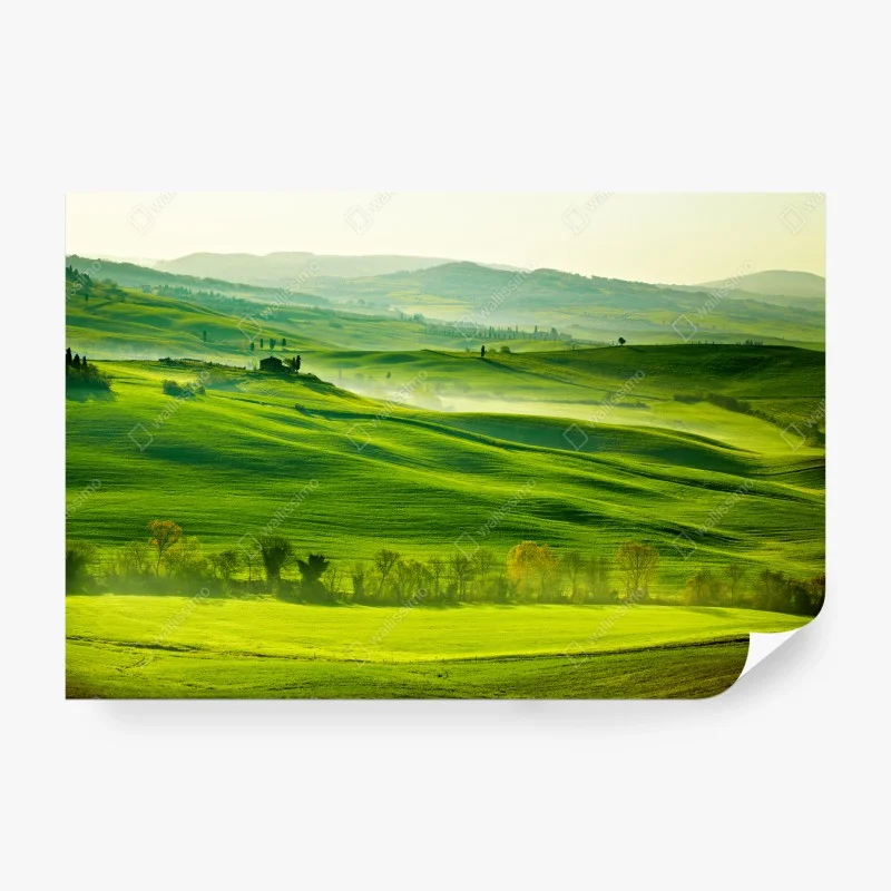 Fotomural paisaje sereno de la Toscana