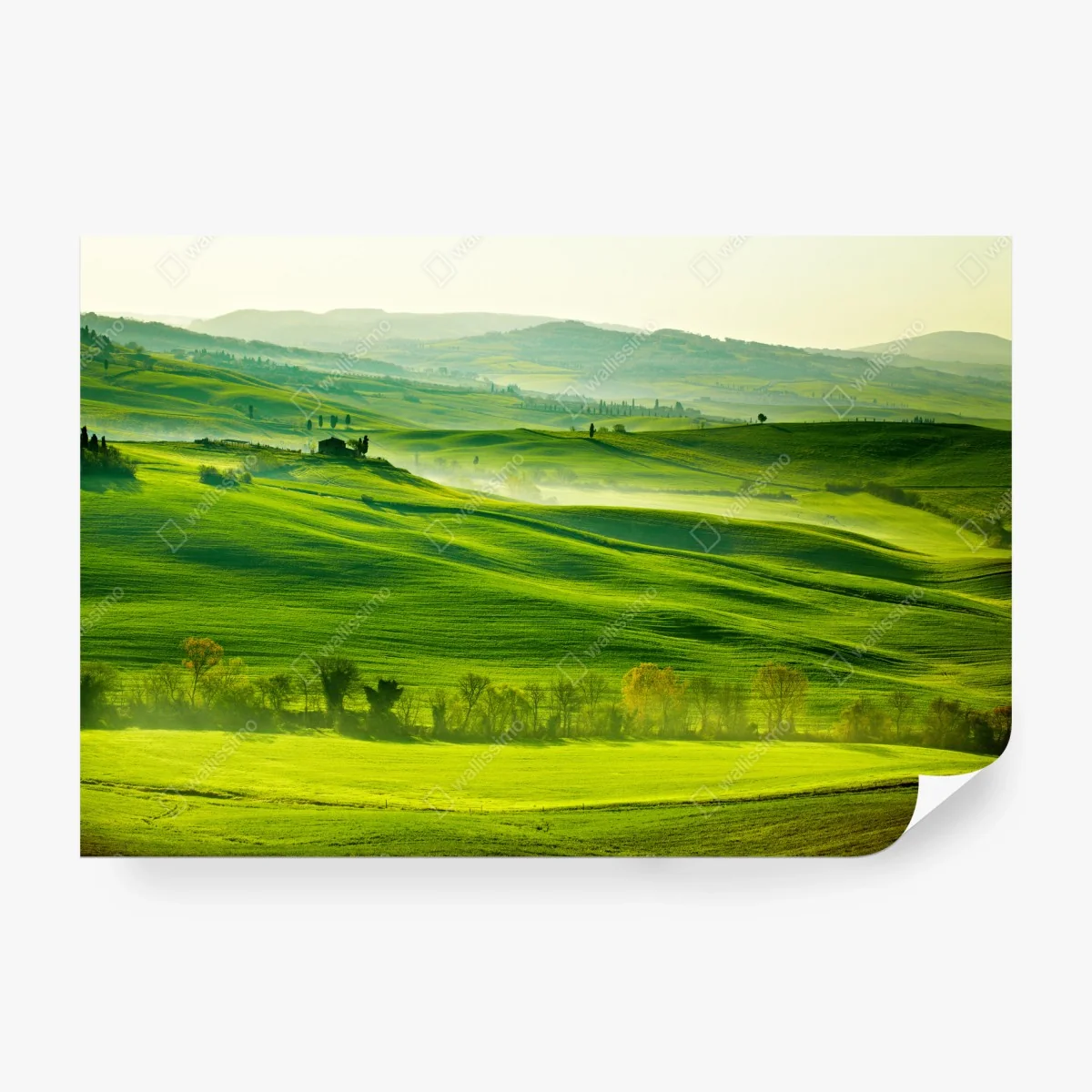 Fotomural paisaje sereno de la Toscana – Pixers® Fotomural paisaje sereno de la Toscana – Pixers®