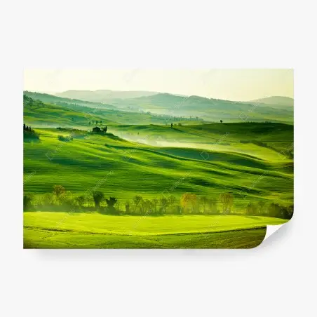 Fotomural paisaje sereno de la Toscana – Pixers®