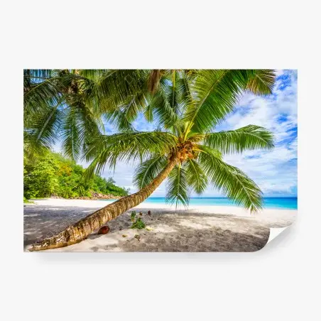 Fotomural paraíso tropical con palmera inclinada – Pixers®