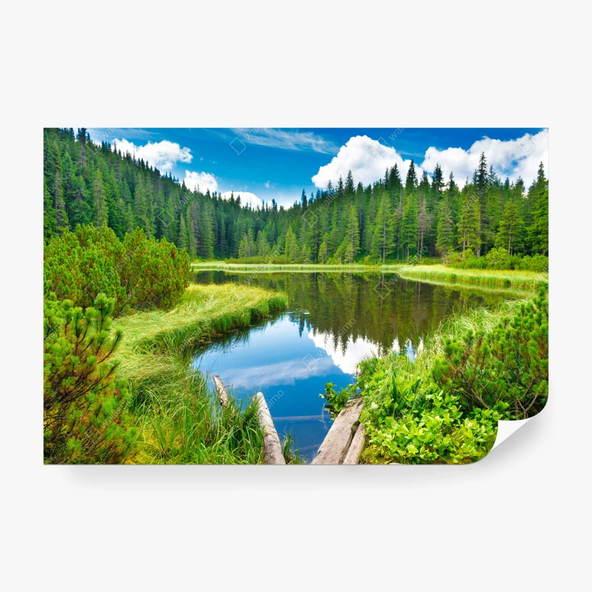 Fotomural serenidad en el lago entre pinos – Pixers® Fotomural serenidad en el lago entre pinos – Pixers®