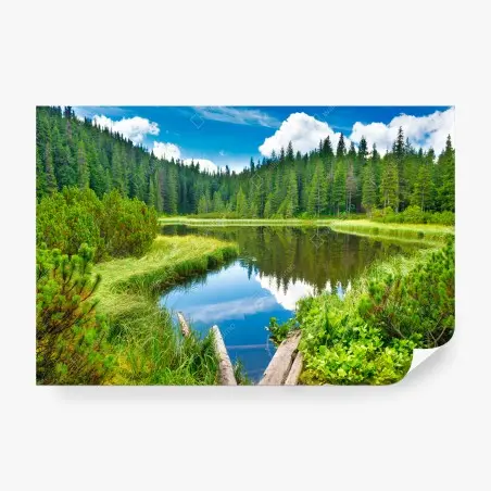 Fotomural serenidad en el lago entre pinos – Pixers®