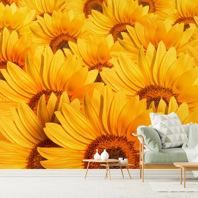 Fotomural girasoles radiantes para decoración