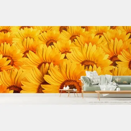 Fotomural girasoles radiantes para decoración – Pixers®