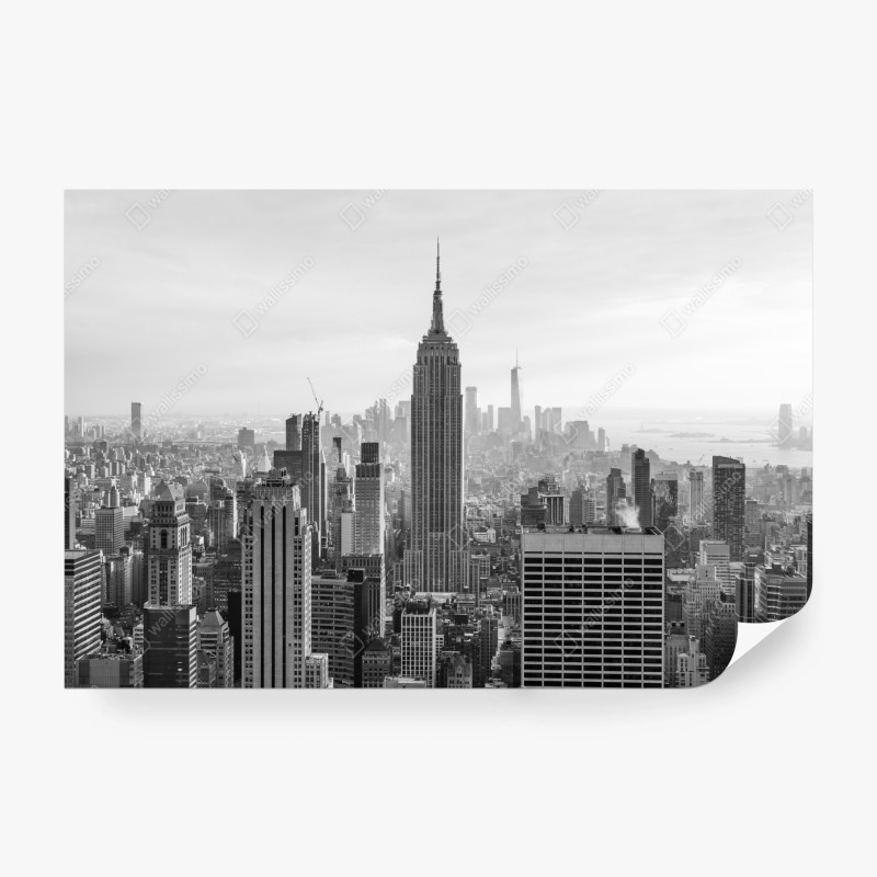 Fotomural panorama urbano clásico de Nueva York