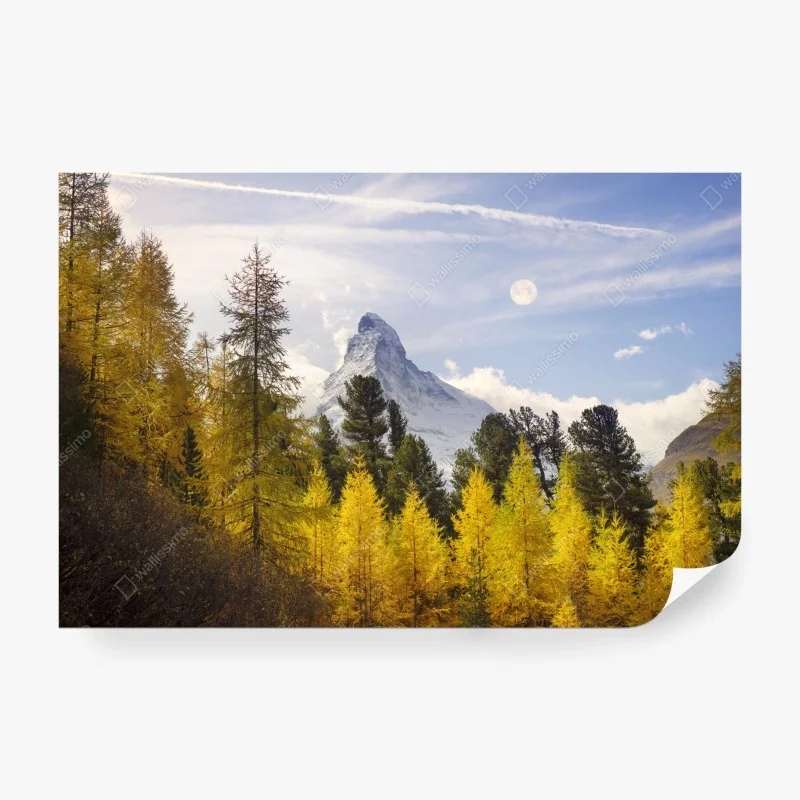 Fotomural bosque dorado frente al Matterhorn