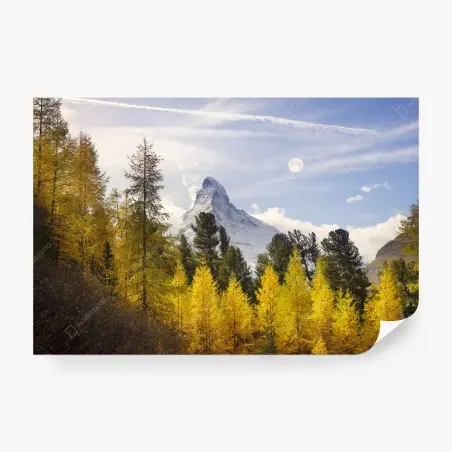 Fotomural bosque dorado frente al Matterhorn – Pixers®