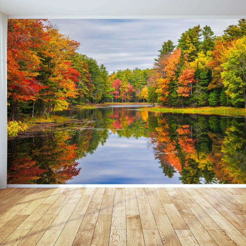 Fotomural reflejos otoñales en Nueva Inglaterra