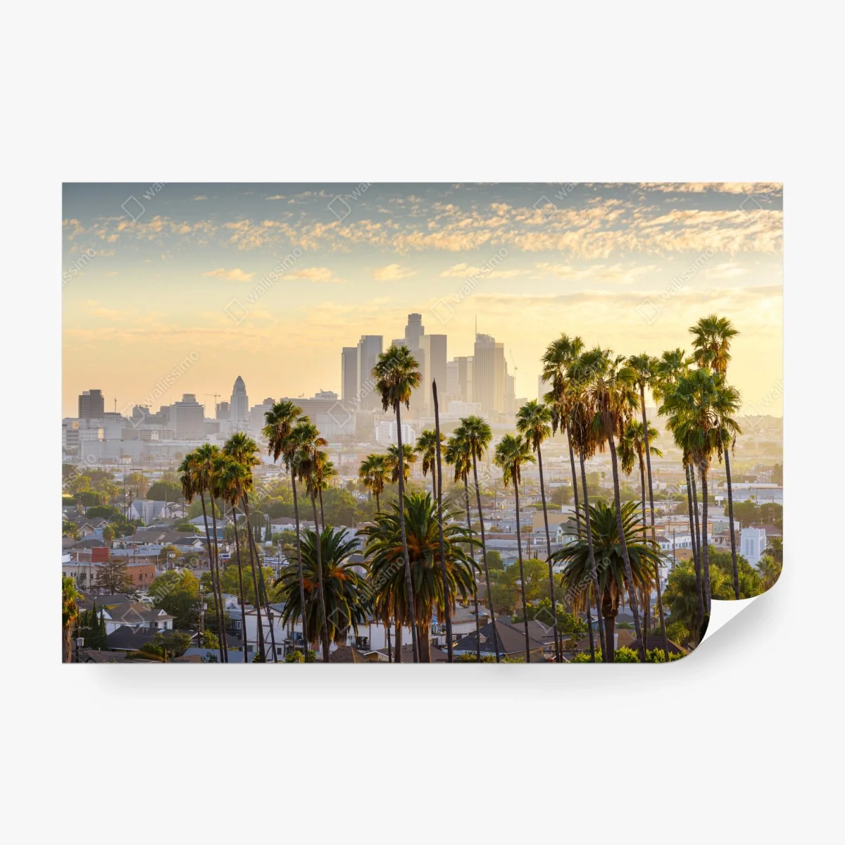 Fotomural amanecer sobre Los Ángeles con palmeras – Pixers® Fotomural amanecer sobre Los Ángeles con palmeras – Pixers®