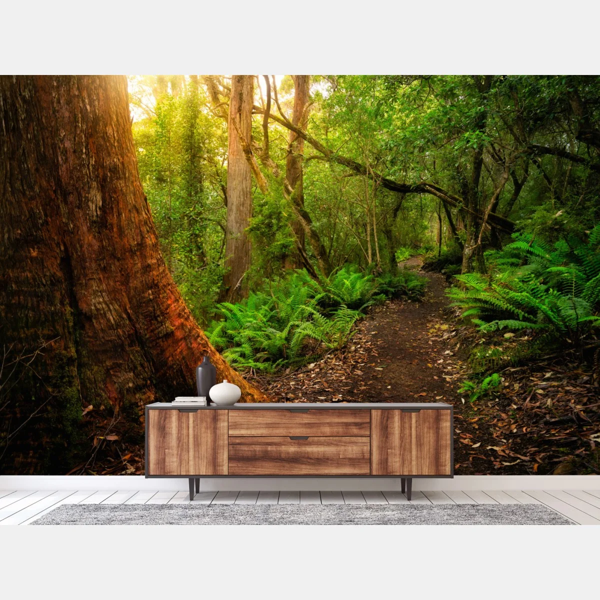Fotomural sendero ancestral en la jungla jurásica de la península de Tasman, Tasmania – Pixers® Fotomural sendero ancestral en la jungla jurásica de la península de Tasman, Tasmania – Pixers®
