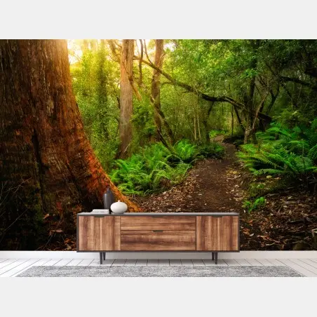 Fotomural sendero ancestral en la jungla jurásica de la península de Tasman, Tasmania – Pixers®