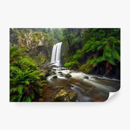 Fotomural cascada en bosque de helechos – Pixers®