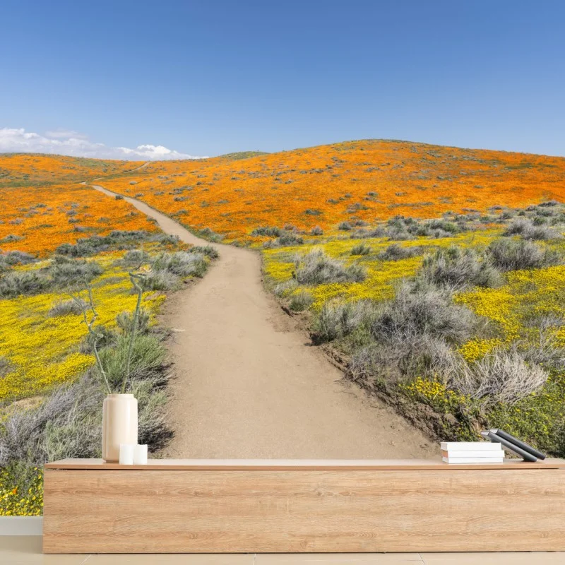 Fotomural camino entre amapolas en California del Sur