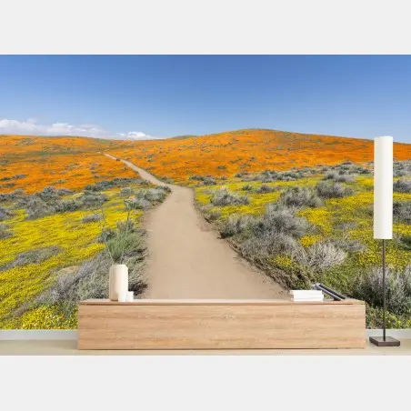 Fotomural camino entre amapolas en California del Sur – Pixers®