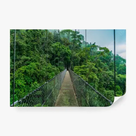 Fotomural pasarela colgante sobre la selva tropical – Pixers®