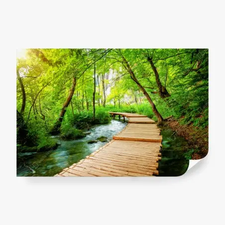 Fotomural sendero de madera en Plitvice – Pixers®