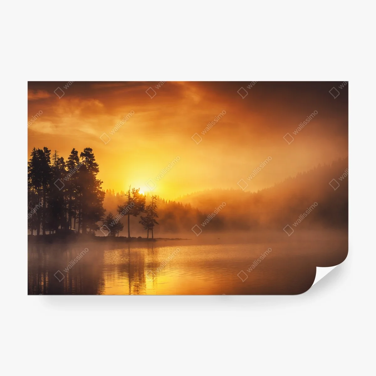 Fotomural amanecer dorado en el lago – Pixers® Fotomural amanecer dorado en el lago – Pixers®
