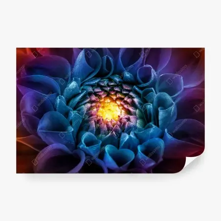 Fotomural crisantemo macro multicolor con corazón luminoso – Pixers®