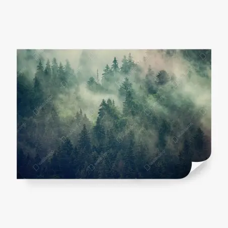 Fotomural bosque envuelto en niebla – Pixers®