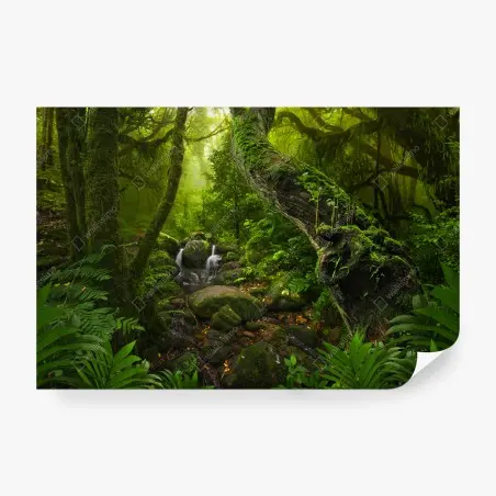 Fotomural bosque místico con arroyo y musgo – Pixers®