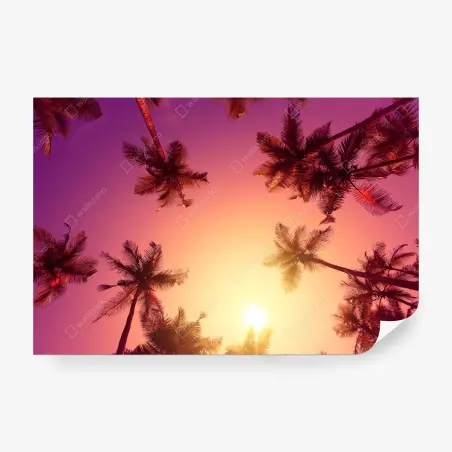 Fotomural atardecer tropical entre palmeras – Pixers®